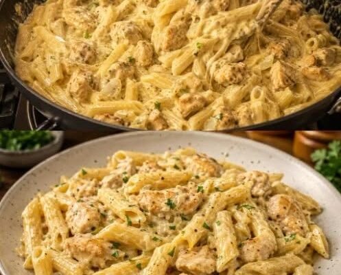 Pasta con pollo y salsa de queso: cremosa y tierna.